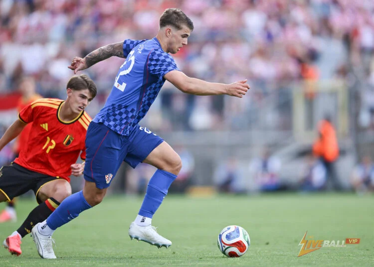 Brighton & Hove Albion set to fail with latest Luka Vuskovic bid